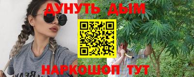 индика Жуковский