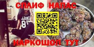индика Жуковский