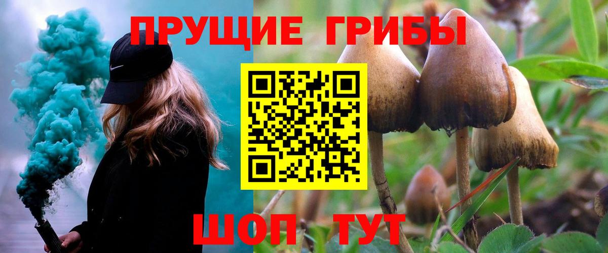 Нарткала  Псилоцибиновые грибы прущие грибы  Галлюциногенные грибы Psilocybine cubensis  Вход с VPN 